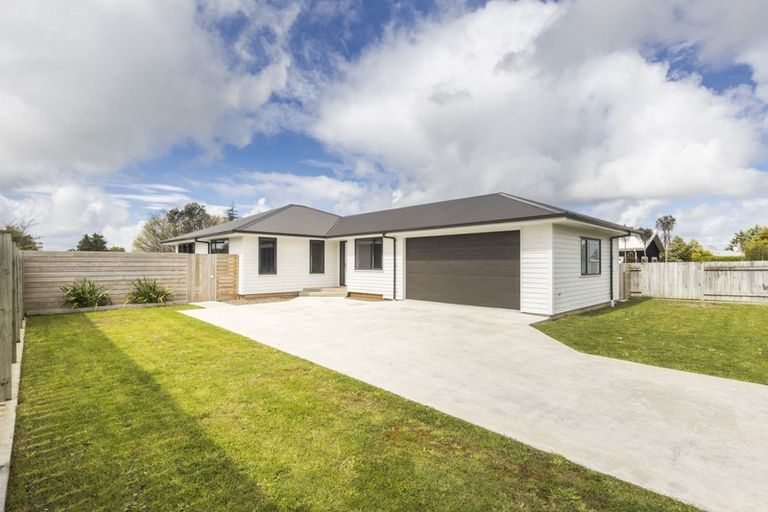 Photo of property in 27 Poplar Grove, Feilding, 4702
