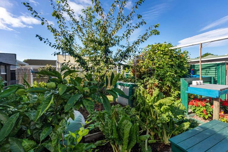 Photo of property in 2b Wybo Veldman Place, Whakatane, 3120