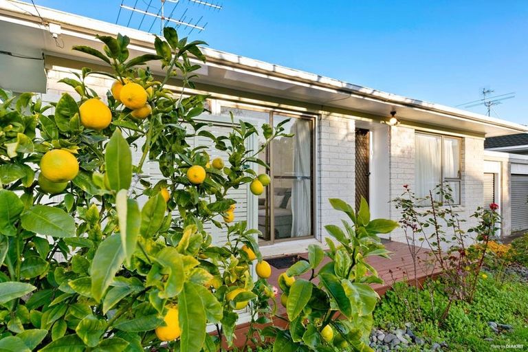 Photo of property in 1/5 Merriefield Avenue, Forrest Hill, Auckland, 0620