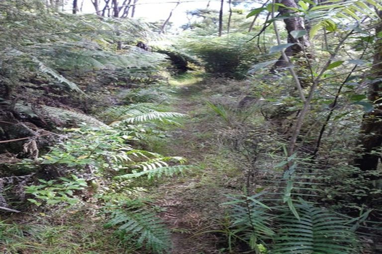 Photo of property in 323c Waikawau Beach Road, Waikawau, Coromandel, 3584