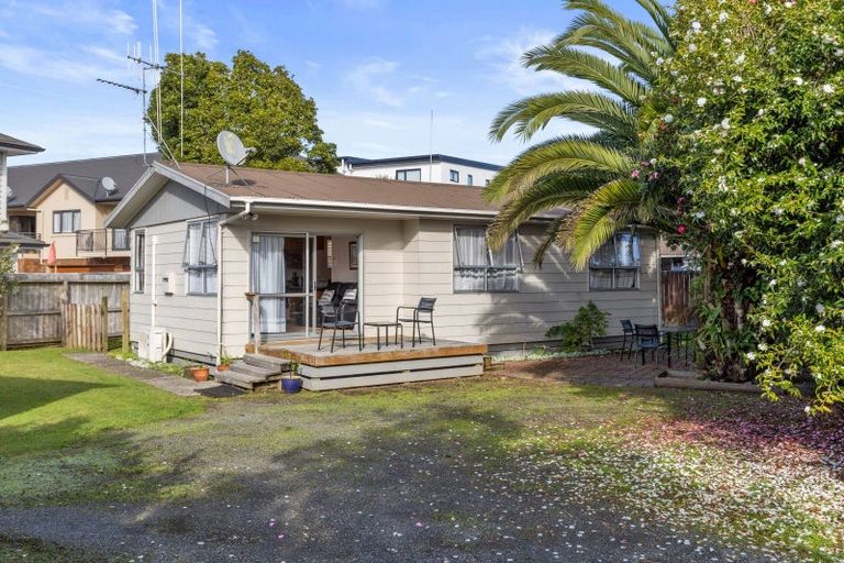 Photo of property in 55b Fifth Avenue, Enderley, Hamilton, 3214