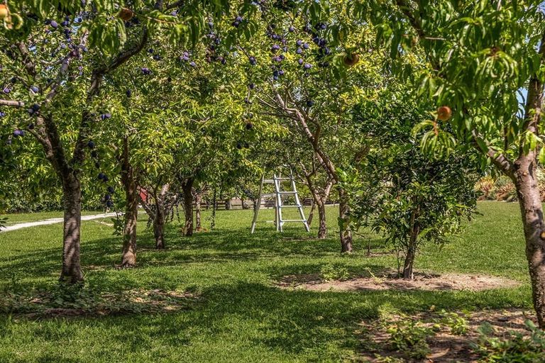 Photo of property in 134 Aranui Road, Mapua, 7005