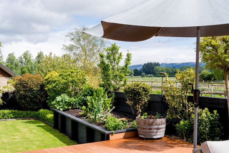 Photo of property in 4 Coronga Lane, Mosgiel, 9092