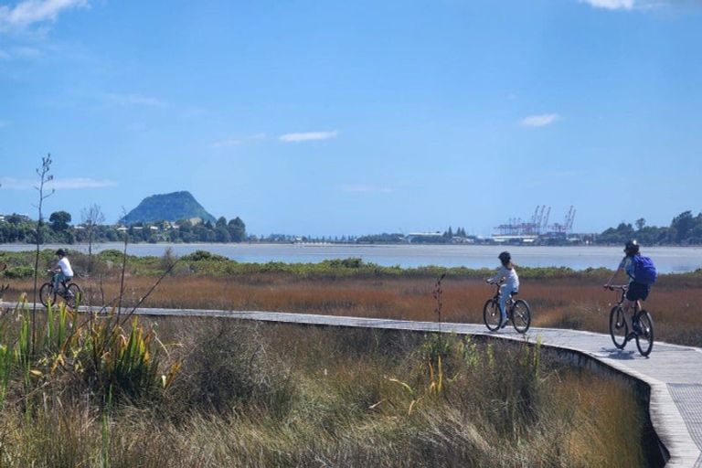 Photo of property in 98a Maxwells Road, Otumoetai, Tauranga, 3110