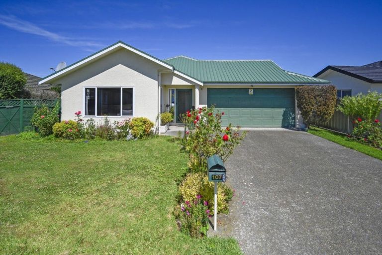 Photo of property in 107 Karaitiana Street, Frimley, Hastings, 4120