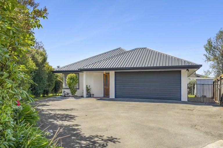 Photo of property in 15 Albizia Place, Richmond, 7020