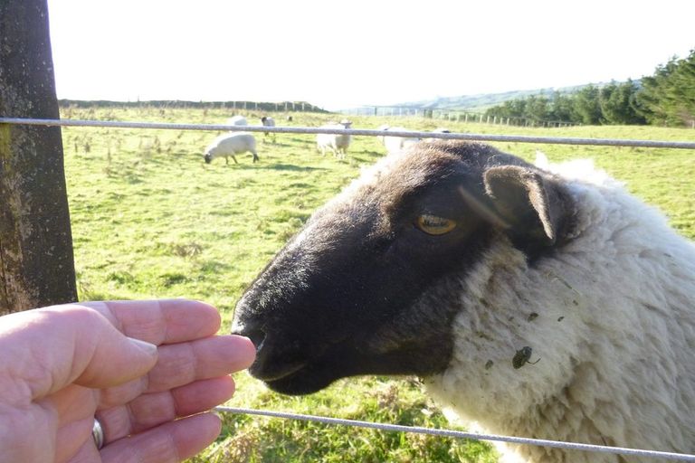 Photo of property in 44 Kaitake Road, Kaitake, New Plymouth, 4374