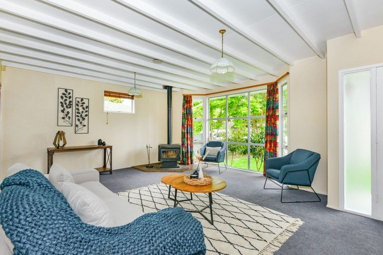 Photo of property in 44 Te Aute Road, Havelock North, 4130