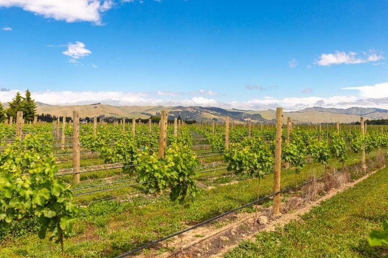 Photo of property in 249 New Renwick Road, Burleigh, Blenheim, 7272