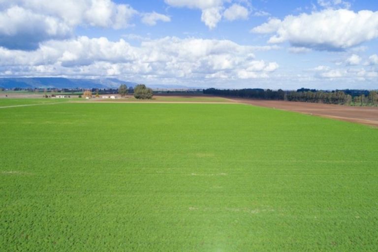 Photo of property in 1310 Alexandra Road, Waharoa, 3474