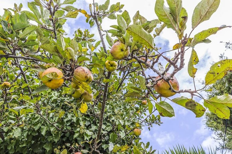 Photo of property in 5a Mepham Place, Ranui, Porirua, 5024