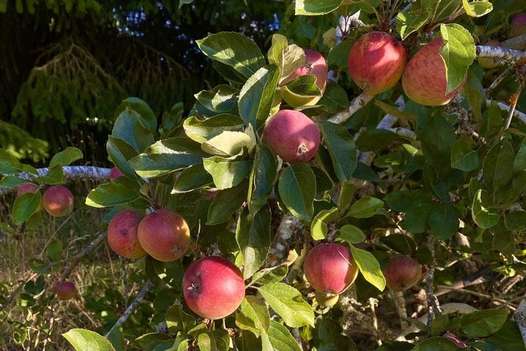 Photo of property in 1142 Garston-athol Highway, Athol, 9793