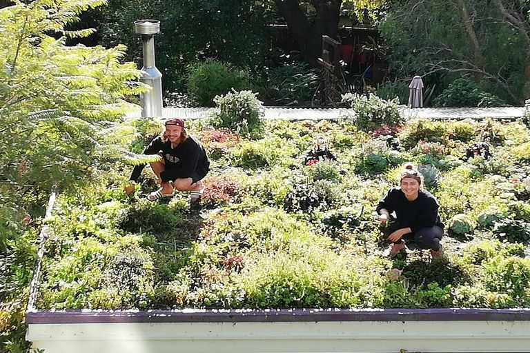 Photo of property in 49 Brougham Street, Nelson South, Nelson, 7010