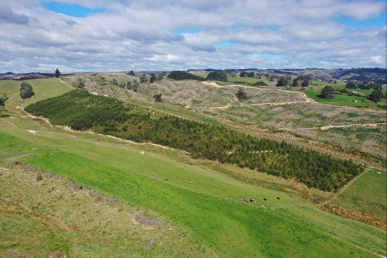 Photo of property in 182 Malling Road, Redwood Valley, Richmond, 7081