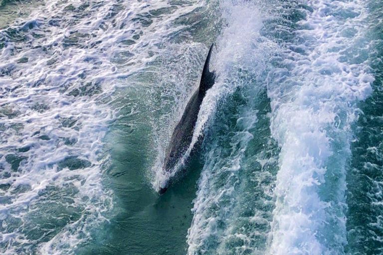 Photo of property in 10 Wilson Avenue, Kawau Island, 0920