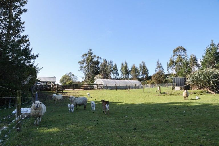 Photo of property in 103 Alma Road, Westport, 7892