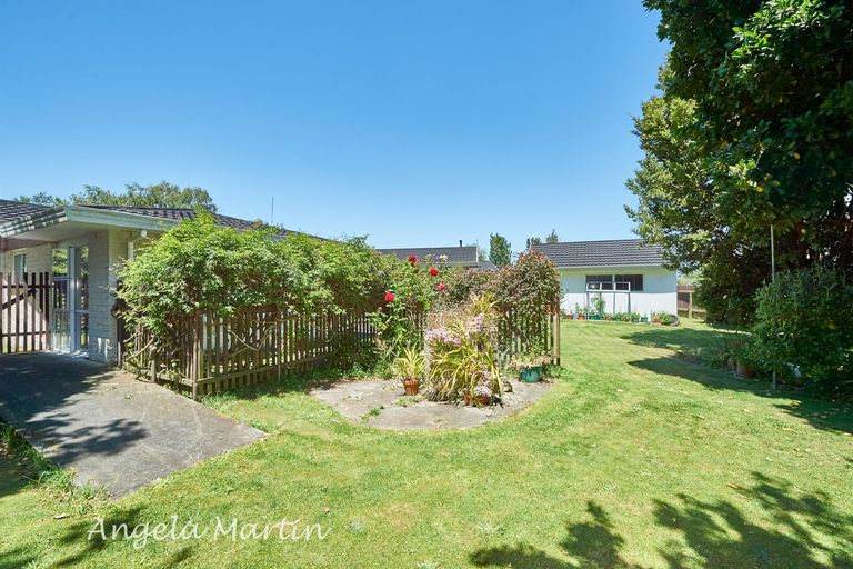 Photo of property in 41 Humphries Place, Awapuni, Palmerston North, 4412