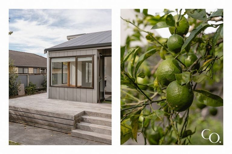 Photo of property in 103b Eighteenth Avenue, Tauranga South, Tauranga, 3112