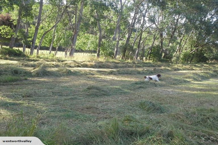 Photo of property in 393 Wentworth Valley Road, Whangamata, 3691