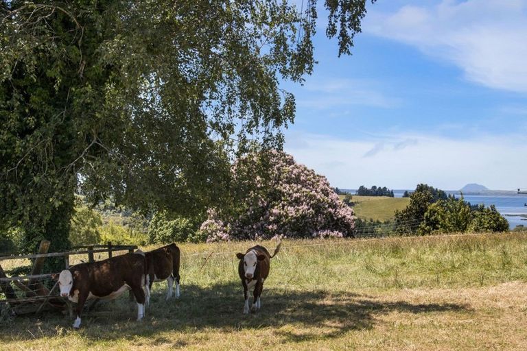 Photo of property in 26 Woodland Road, Tahawai, Katikati, 3170