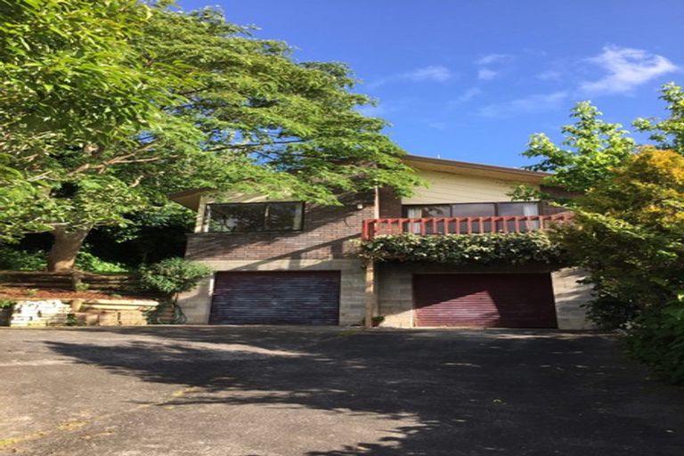 Photo of property in 49 Hazelwood Avenue, Dinsdale, Hamilton, 3204