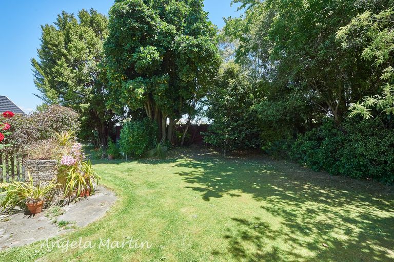 Photo of property in 41 Humphries Place, Awapuni, Palmerston North, 4412