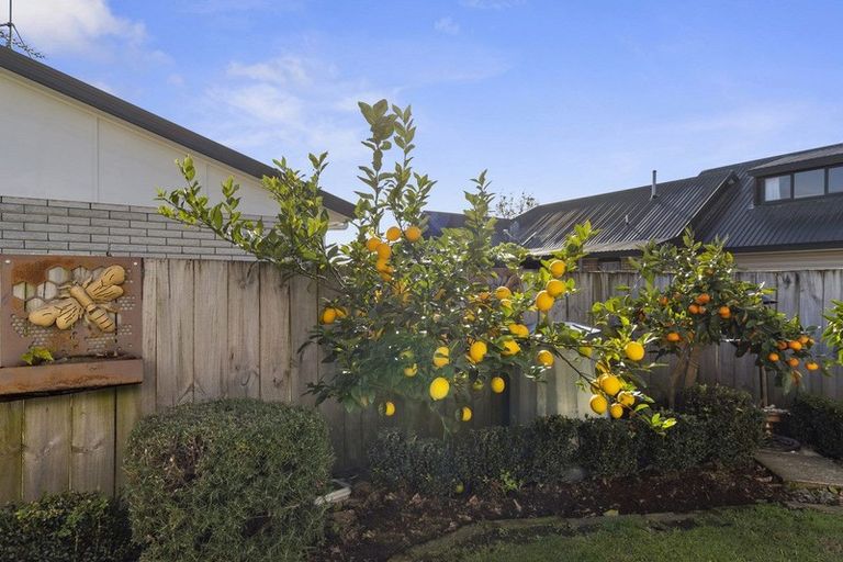 Photo of property in 91b Taylor Street, Cambridge, 3434