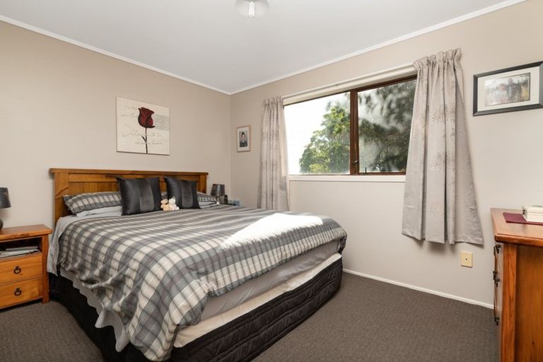 Photo of property in 42 Youngson Road, Whakamarama, Tauranga, 3180