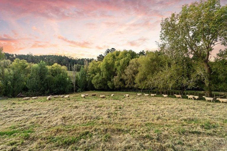 Photo of property in 7f Willow Lane, Stillwater, Silverdale, 0993