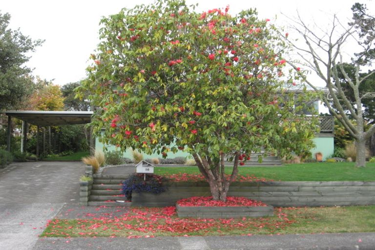 Photo of property in 58 Wylie Street, Glenholme, Rotorua, 3010
