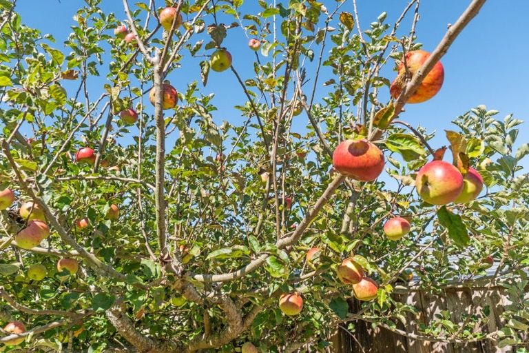 Photo of property in 4 Adam Lile Drive, Highlands Park, New Plymouth, 4312