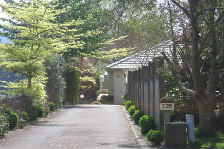 Photo of property in 40a Lynmore Avenue, Lynmore, Rotorua, 3010