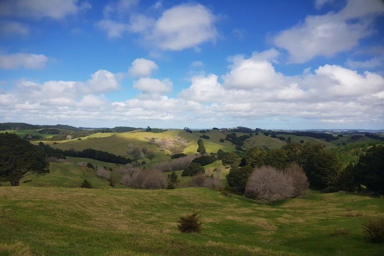 Photo of property in 725 Golden Stairs Road, Mareretu, Maungaturoto, 0589