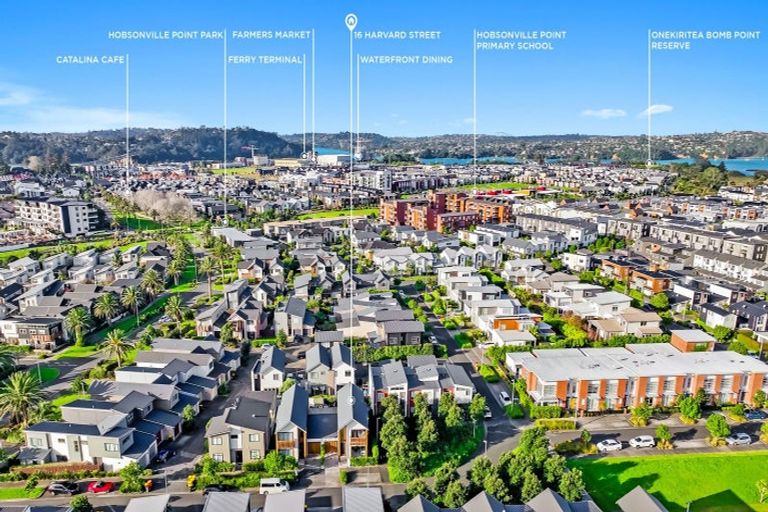 Photo of property in 16 Harvard Street, Hobsonville, Auckland, 0616