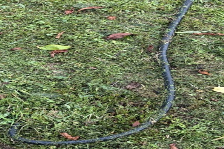 Photo of property in 16a Baxter Place, Owhata, Rotorua, 3010