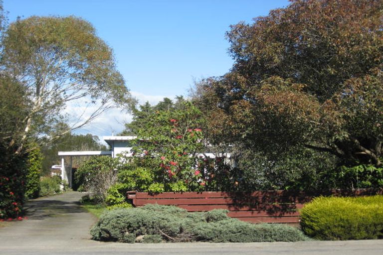 Photo of property in 247 High Street, Solway, Masterton, 5810