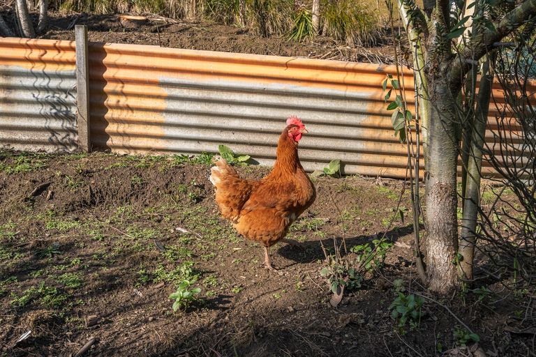 Photo of property in 1b Goodwin Street, Waihola, Milton, 9073
