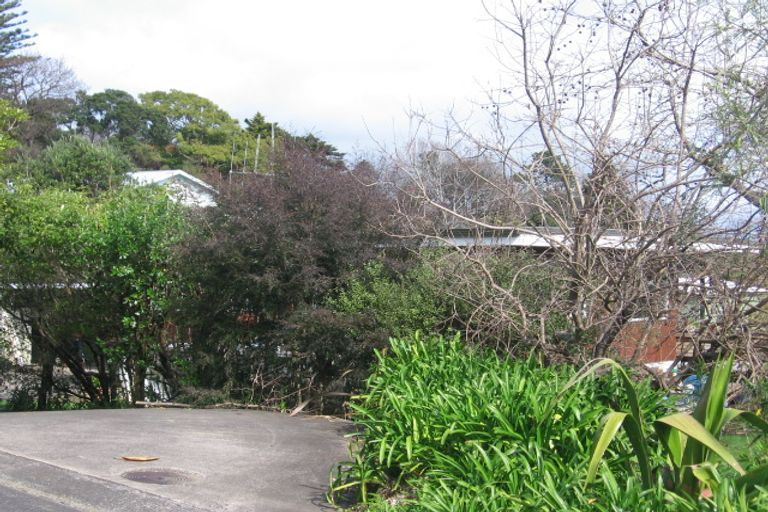 Photo of property in 115 The Terrace, Thames, 3500