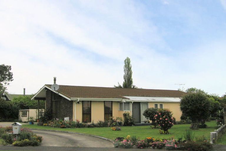 Photo of property in 19 Bryce Street, Mangapapa, Gisborne, 4010