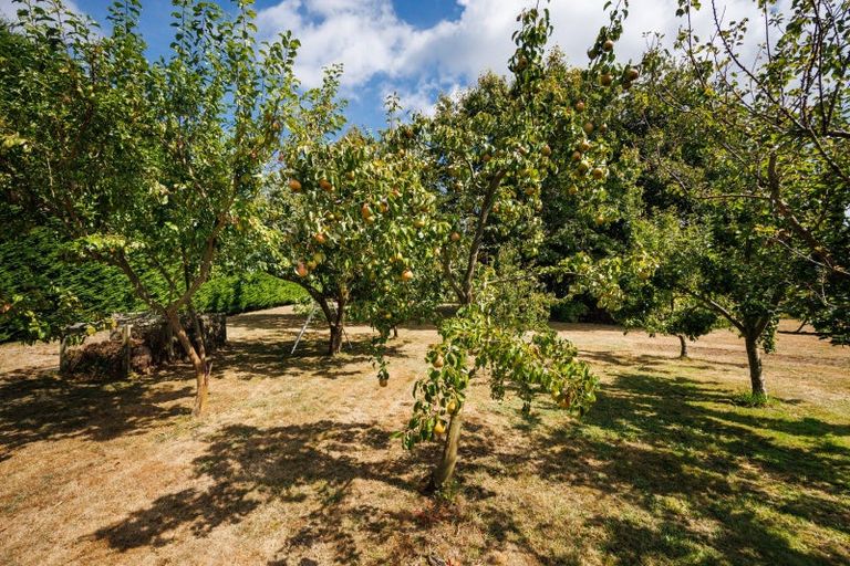 Photo of property in 521 Pohangina Road, Pohangina, Ashhurst, 4884