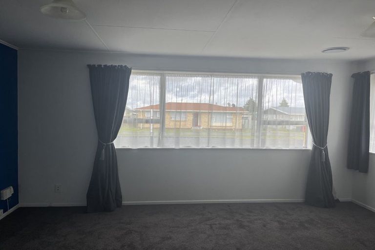 Photo of property in 63 Hinemoa Street, Levin, 5510