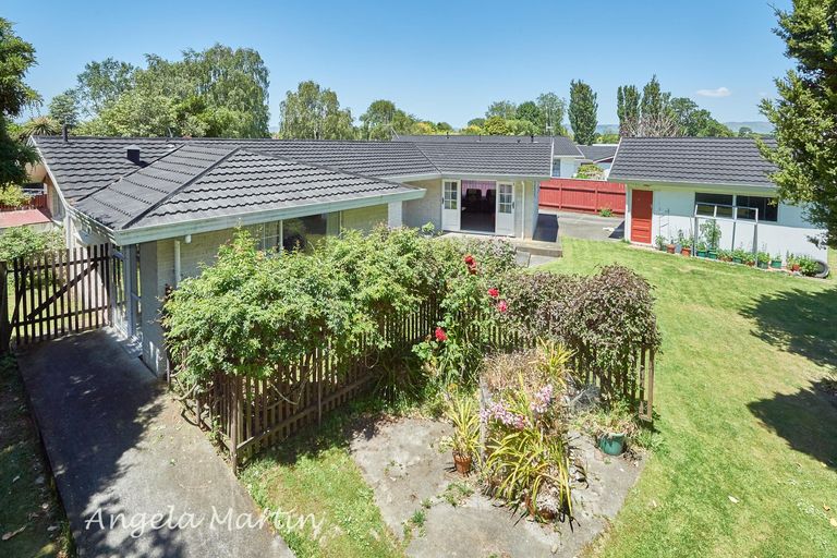 Photo of property in 41 Humphries Place, Awapuni, Palmerston North, 4412