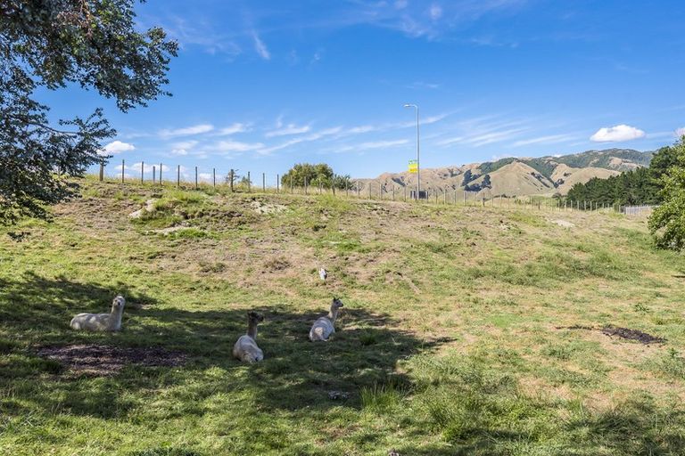 Photo of property in 125 Derham Road, Te Horo, Otaki, 5581
