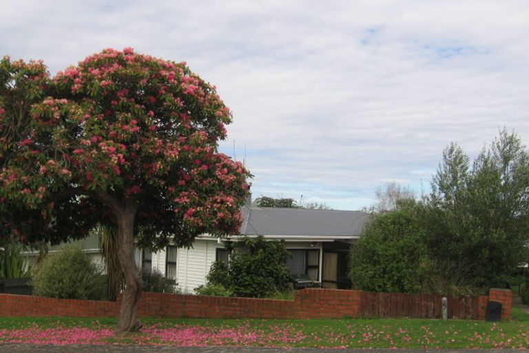 Photo of property in 28a Robins Road, Judea, Tauranga, 3110