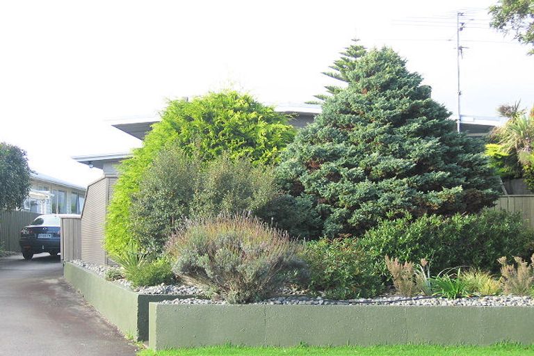 Photo of property in 62 Gray Avenue, Paraparaumu Beach, Paraparaumu, 5032