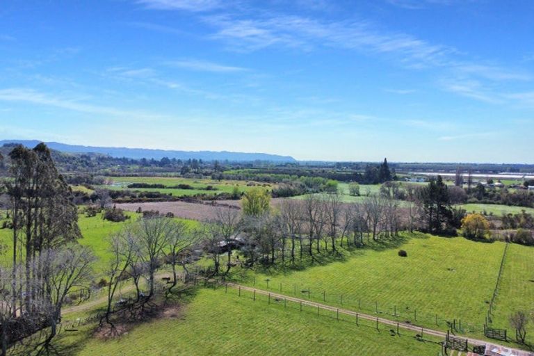 Photo of property in 418 Galatea Road, Te Teko, 3192