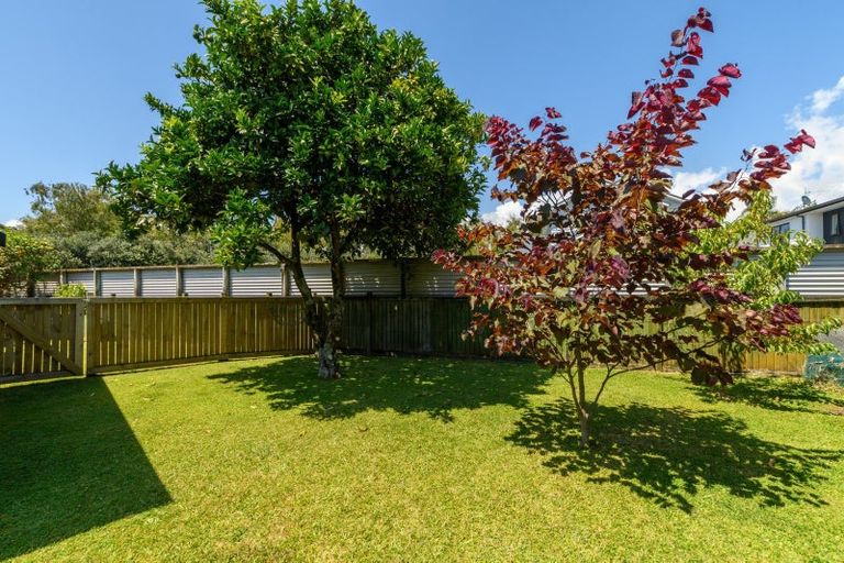 Photo of property in 55 Kings Avenue, Matua, Tauranga, 3110