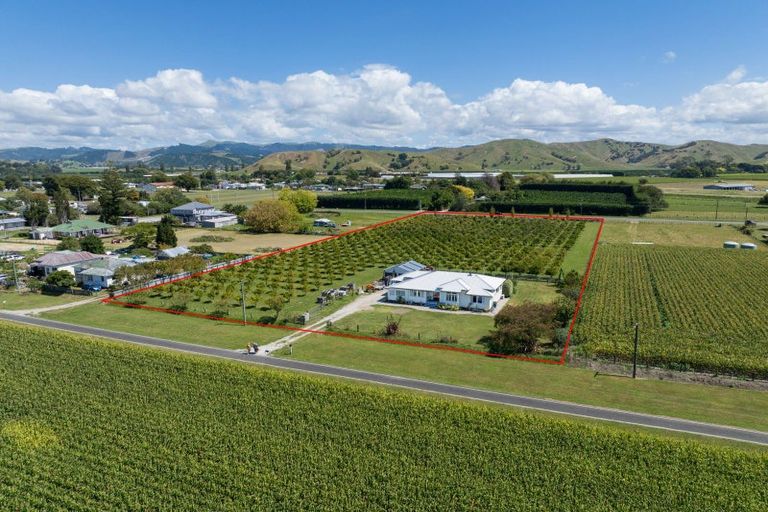Photo of property in 17 Cemetery Road, Patutahi, Gisborne, 4072