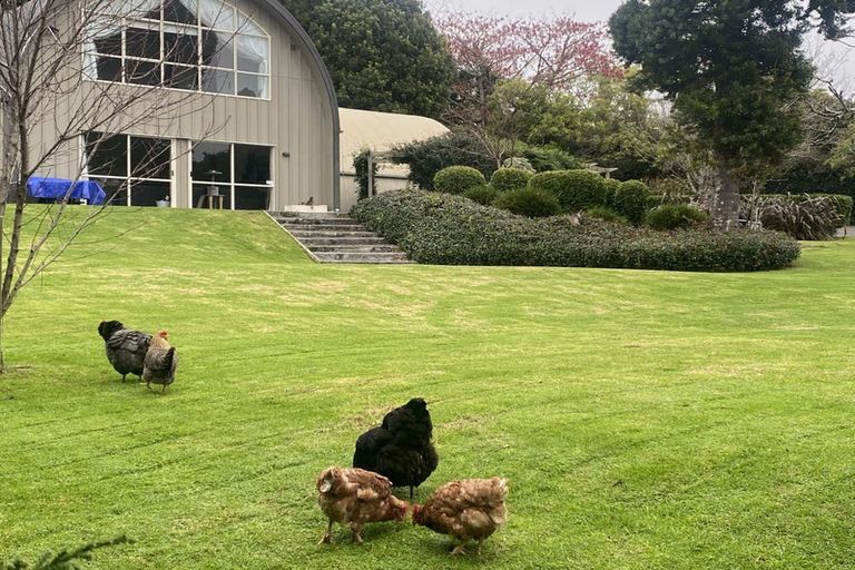 Photo of property in 12 Zapote Place, Ohauiti, Tauranga, 3112