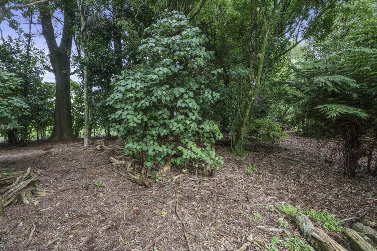 Photo of property in 1135 Richmond Road, Everett Park, Inglewood, 4389